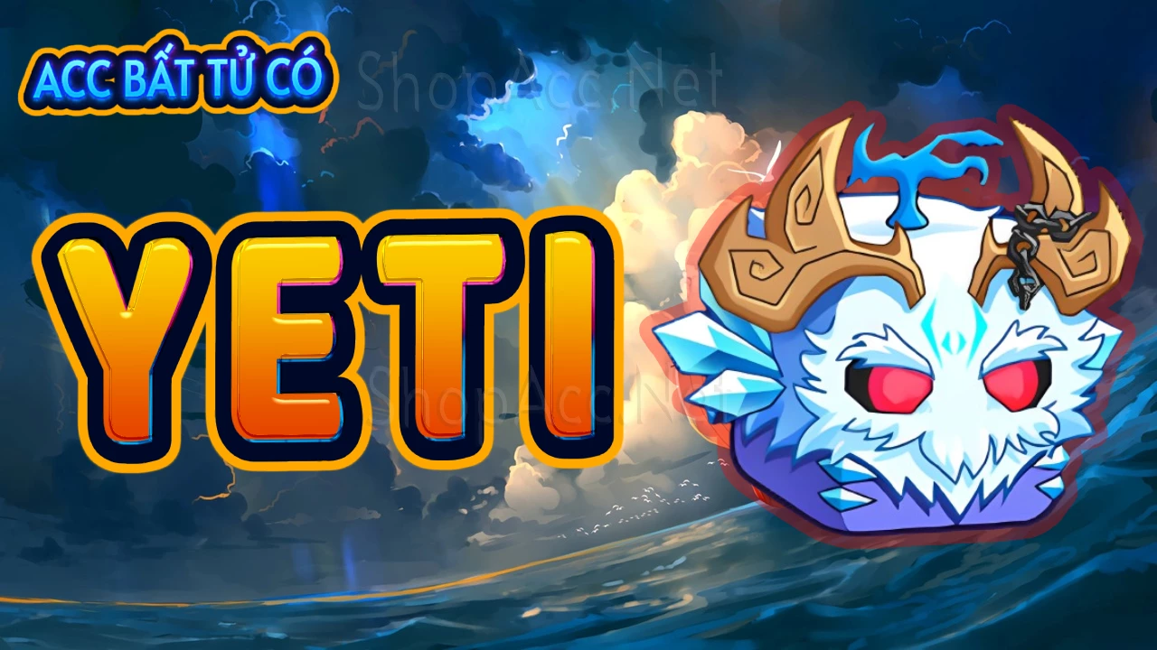 Acc có trái Yeti