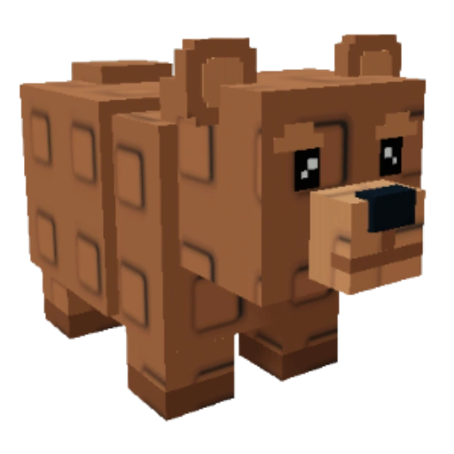 Pet Bear